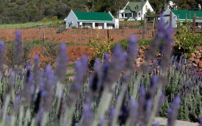 Berluda Farmhouse and Cottages