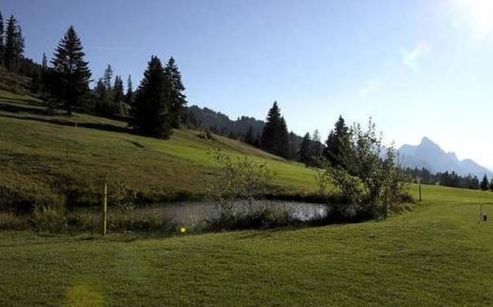 Hotel Alpenrose mit Gourmet-Restaurant Azalee