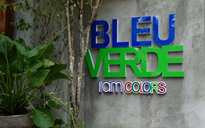 BLEU  VERDE   i am colors