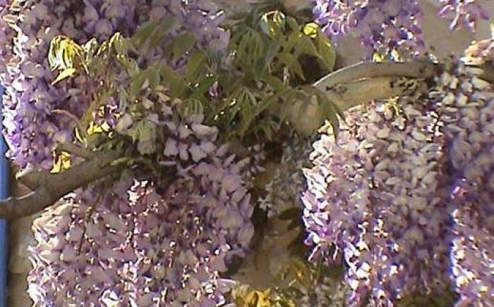 Hotel du Soleil et Spa