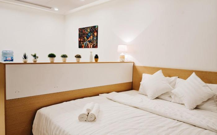 Vinhomes D'capitale - HDG HOUSING