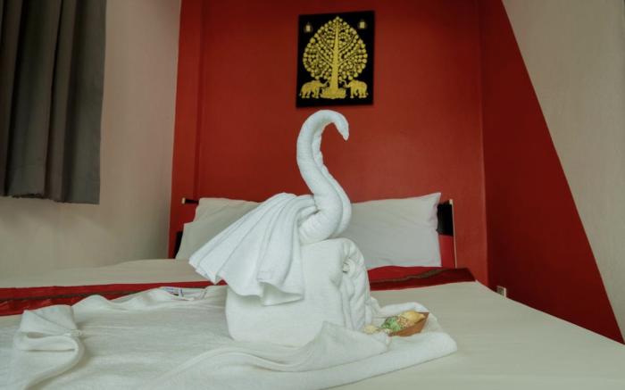 C.samui guesthouse