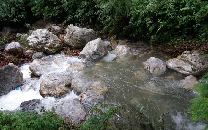 NATURE WALK RESORT MUSSOORIE