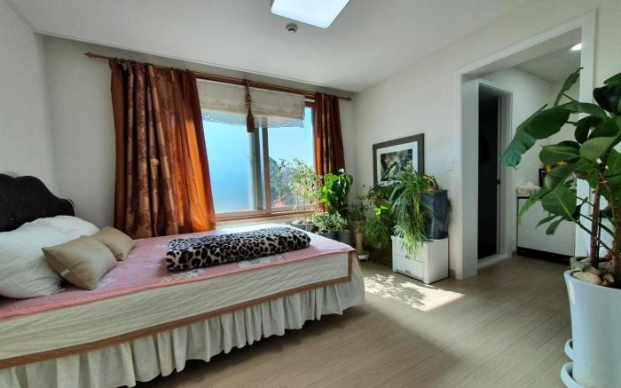 Jjongi and Mary Pet Friendly Pension
