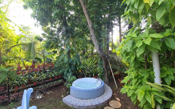 Peace Lily Cottage by Elite Hotels and Resorts