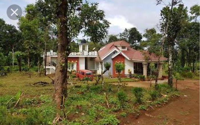 Silver leaf Estate stay