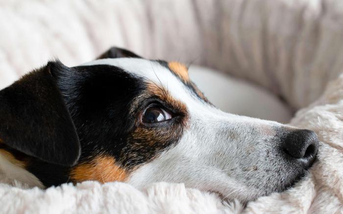 Ibis Budget Tours Sud