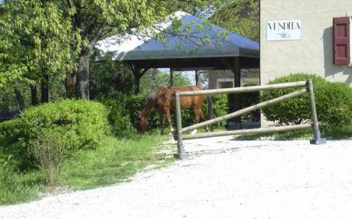 Agriturismo Montevecchio Isolani