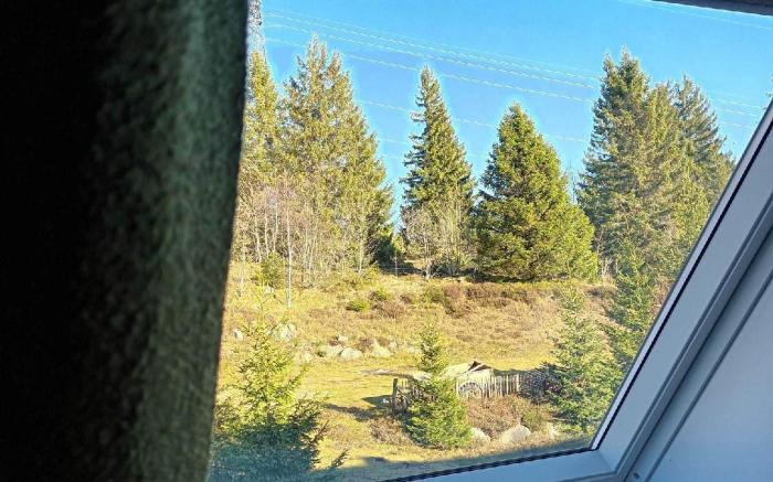 Terre de Sapins