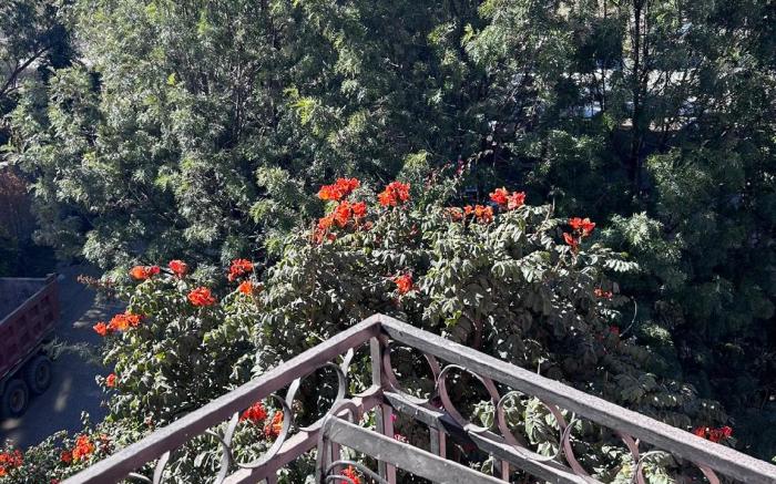 Tryst Boutique Hotel