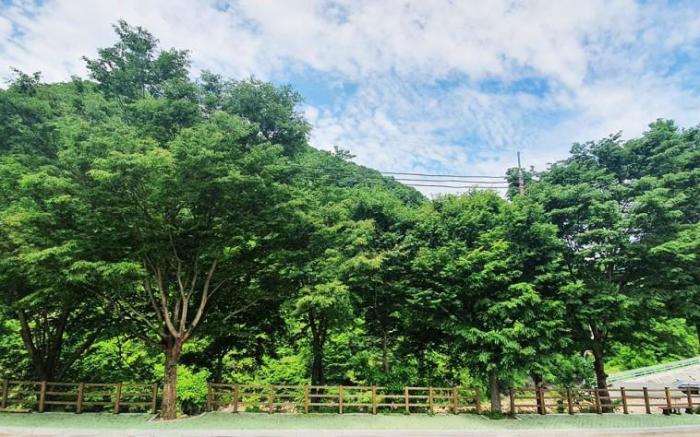 Jirisan yeonliji pension