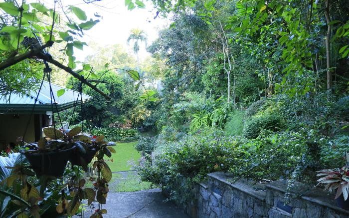 Kandy Tree Tops