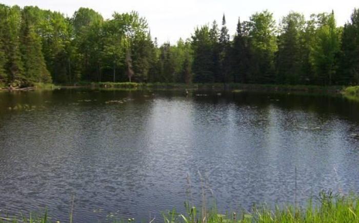 Shambhala Bed and Breakfast