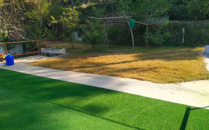 lemon eco huts kasauli