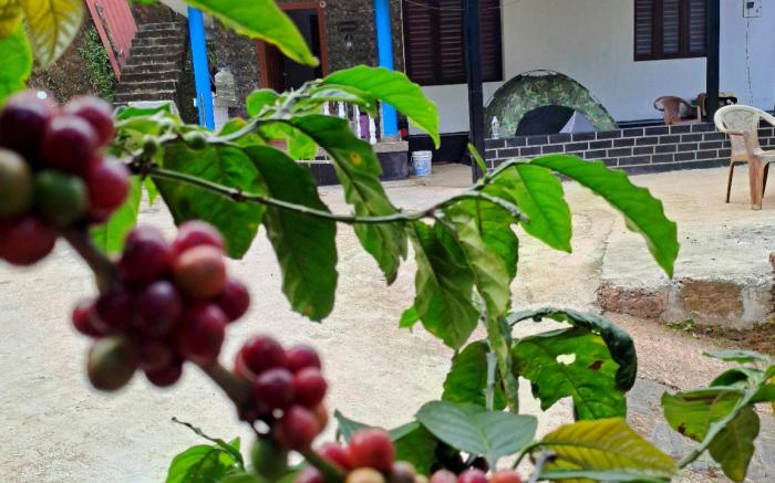 Greenhills homestay 