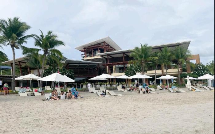Pico de Loro Jacana 516B
