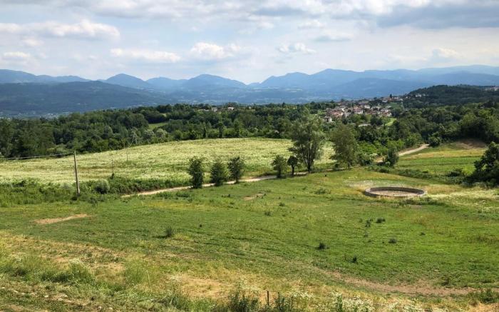 Le Tofane, vivi la bellezza di Belluno - Genziana