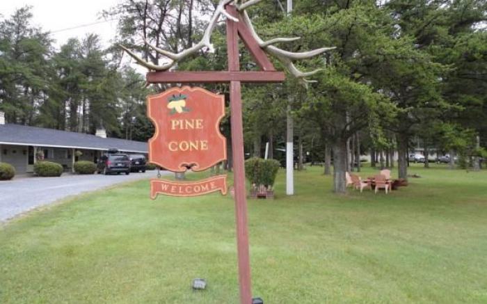 Pinecone Motel