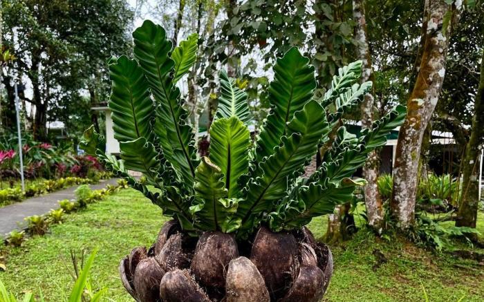 Balai Banahaw Vacation Farm & Private Resort