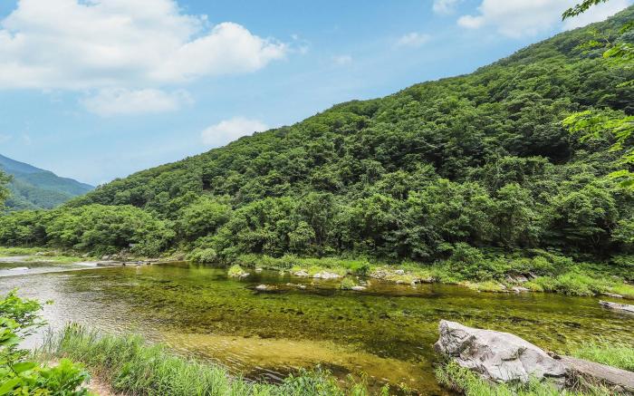 gapyeong paradiso kijeupensyeon