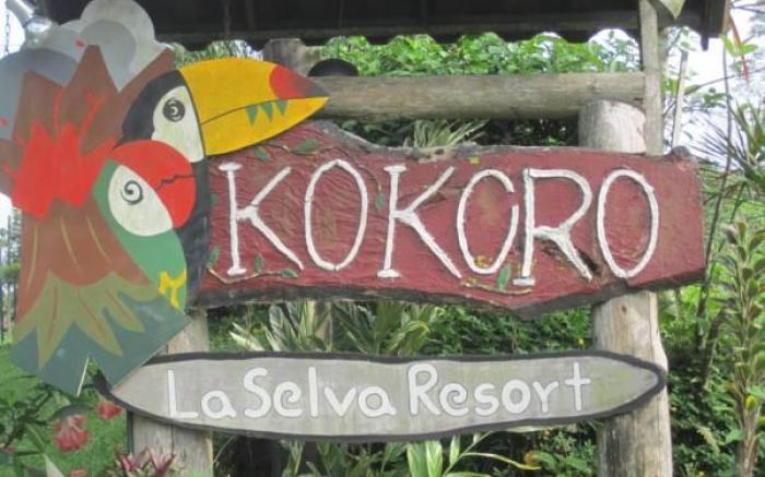 Hotel Kokoro Mineral Hot Springs