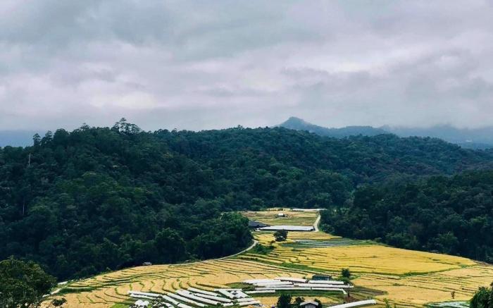 Motho Homestay, Mountain ,rice field view 3-4 PAX