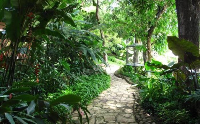 Los Almendros de San Lorenzo