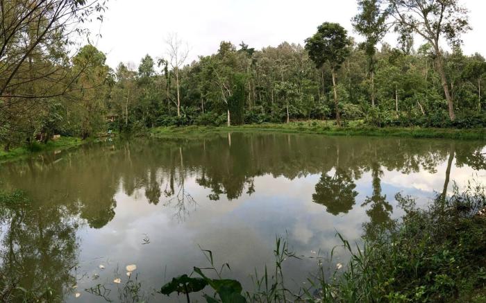 Green Glade Homestay-Coorg