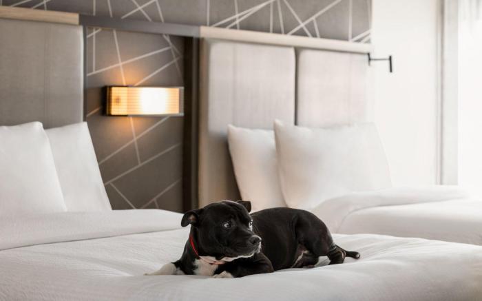 SpringHill Suites by Marriott Camp Hill
