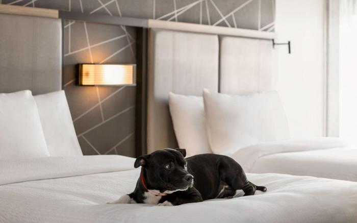 SpringHill Suites Camp Hill