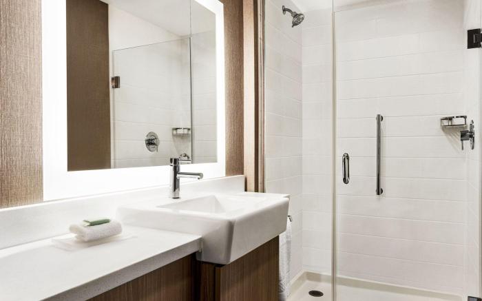 SpringHill Suites by Marriott Camp Hill