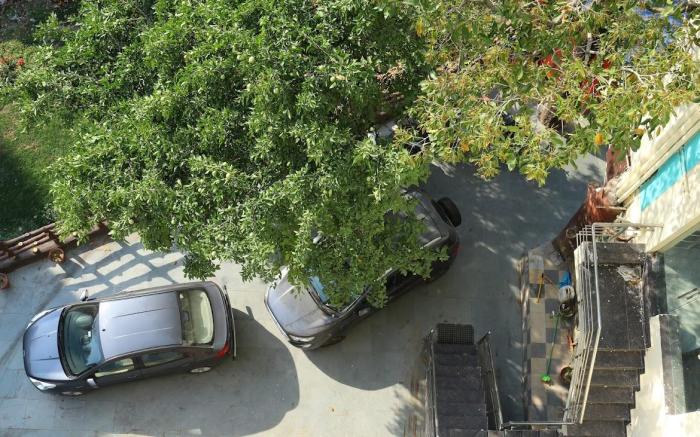 Gayatri Resort 