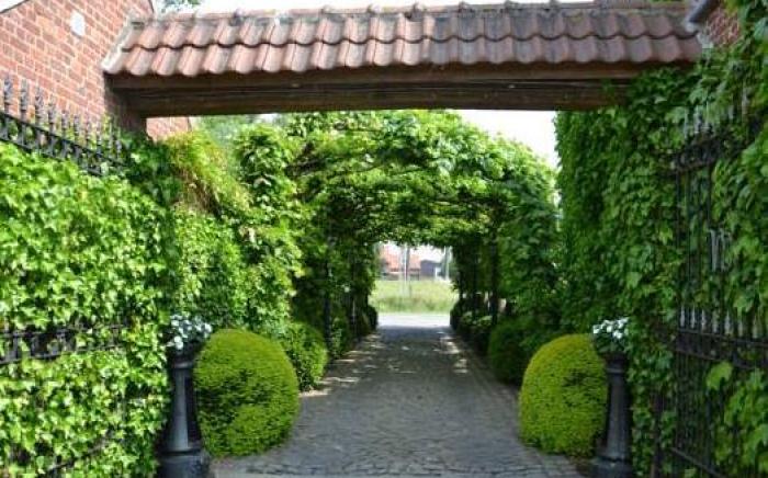 B&B Hof te Spieringen