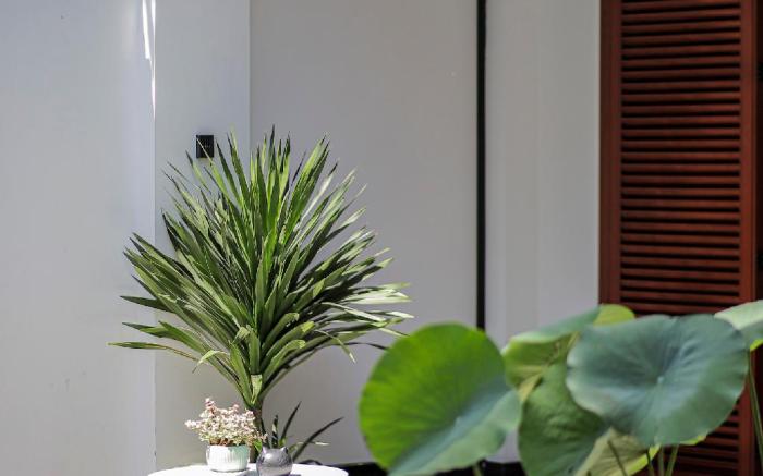 NHÀ BÀ TƯ BOUTIQUE HOMESTAY