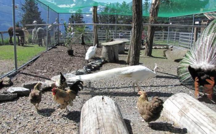 Hotel-Restaurant le Relais Panoramique