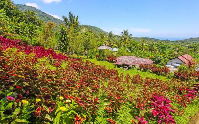 OYO 92419 Rejeng Homestay Near Kerta Gangga Waterfall
