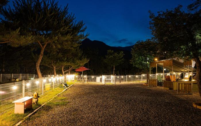 Gapyeong GlamDog Pet Pension