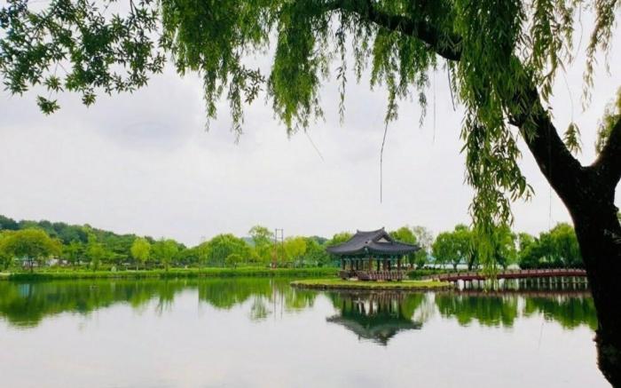 Buyeo Eoksae Jeongwon Pension