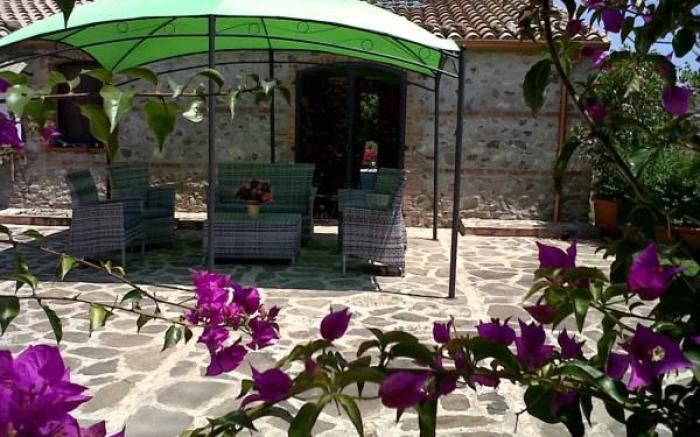 Societa Agricola MG Florplant