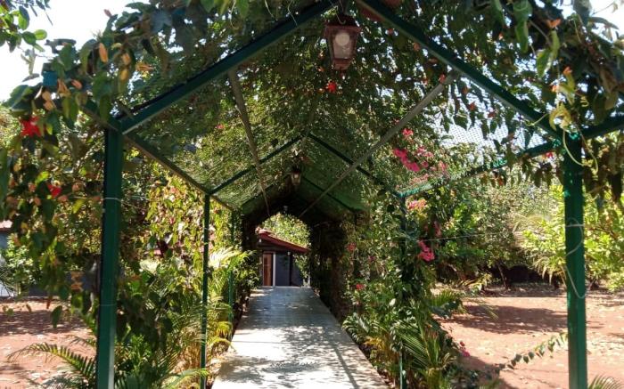 D Star Entertainment Water Park And Resort