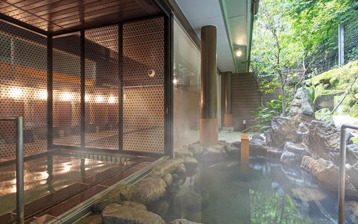 Ooedo Onsen Monogatari Premium Ikaho