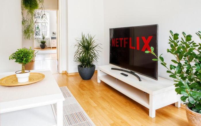 DELUX 2 roomapt. TOP LOCATION easy CheckIn+Netflix