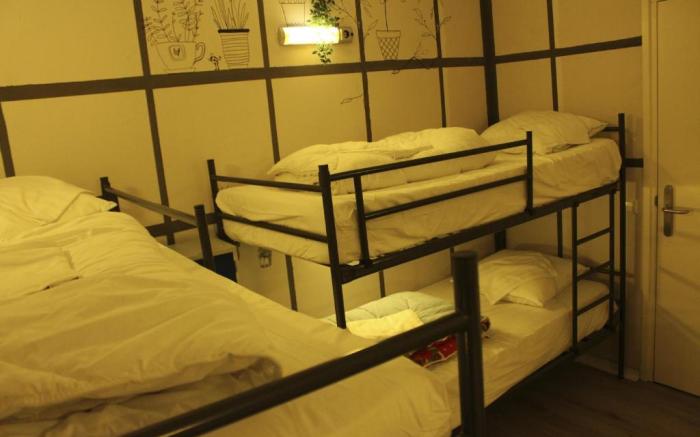 Hostel The Golden Stork
