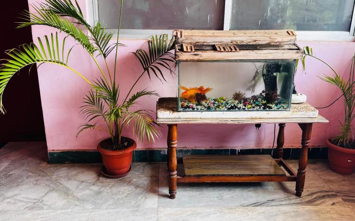 Hotel O 812390 Shri Vinayaka Inn Rooms