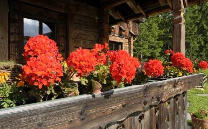Hotel Chalet Corso