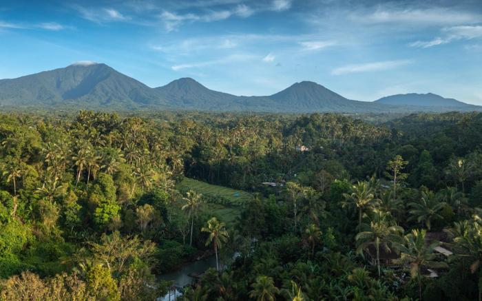 Niente Bali