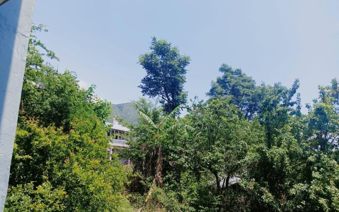 Perchwood Bhimtal