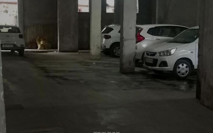 B.S Residency