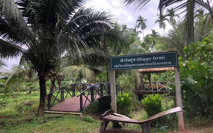 Green Happy Homestay 