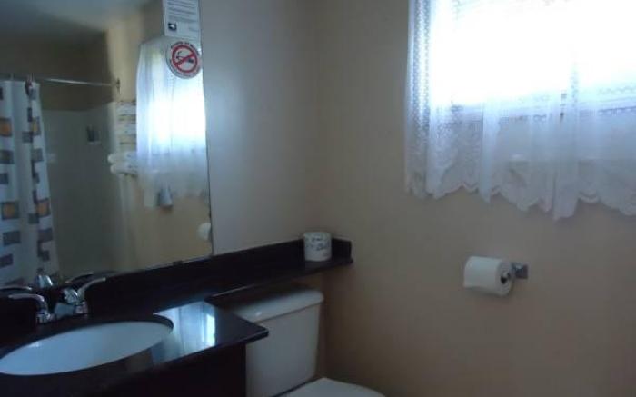 The Silver Birch Motel